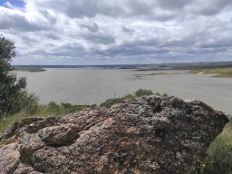 Flora del Cerro Masatrigo